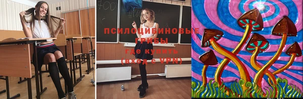 спиды Абинск