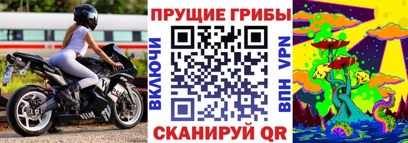 где купить наркоту Шарыпово это какой сайт Галлюциногенные грибы Psilocybine cubensis