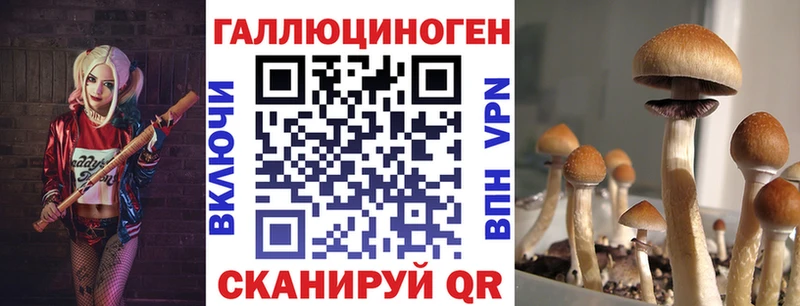 Галлюциногенные грибы Magic Shrooms Шарыпово