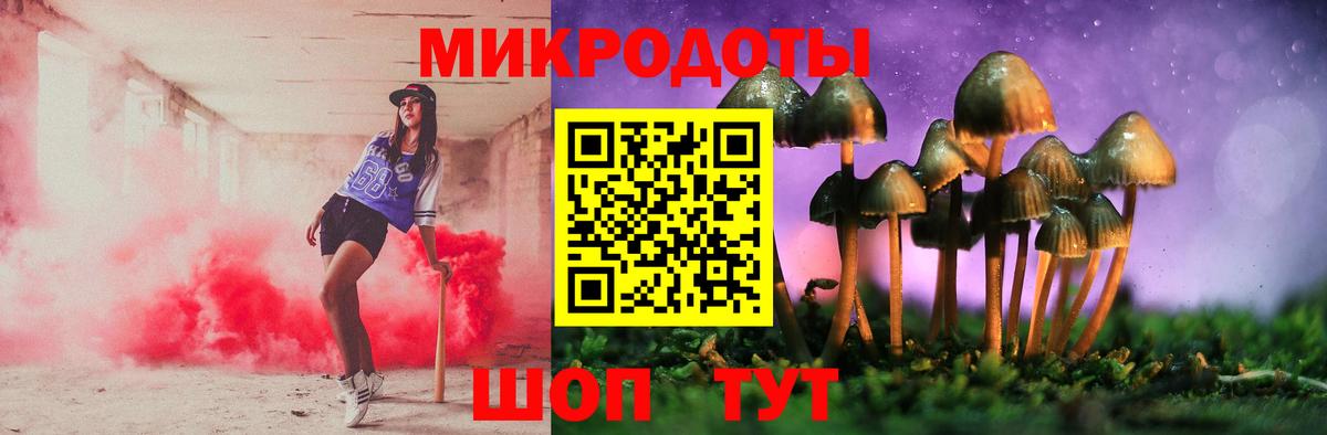 Шарыпово  Псилоцибиновые грибы MAGIC MUSHROOMS  как найти   Вход с VPN  Псилоцибиновые грибы Magic Shrooms 